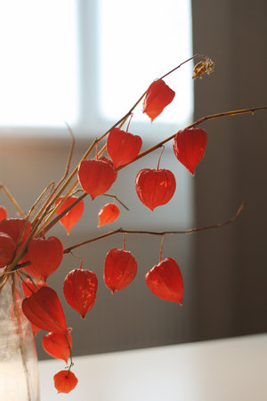 Twigs with orange physalis flowers and autumn colorful leaves in a glass vasein a sunny room. details of home interiorの写真素材