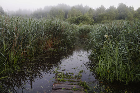 Scenic picturesque landscape view. rural nature in countryside in autumn. Serene peaceful nature countrysideの写真素材