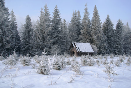 old hut in mountains at winter, Polandのeditorial素材