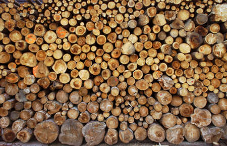 big pile of firewood, Poland の写真素材