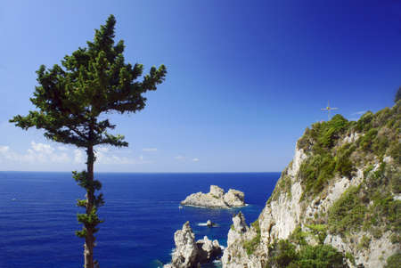 Tree and rocks on the cliff coast, the Greek island of Corfuの写真素材
