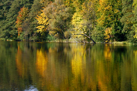 Autumn forest on the lake, Polandの写真素材