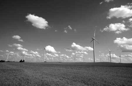 black and white turbines in wind farm, Poland 