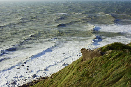 The grass on the coast of the English Channel in France
