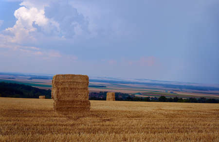 rural landscape after harvest in Champagneの写真素材