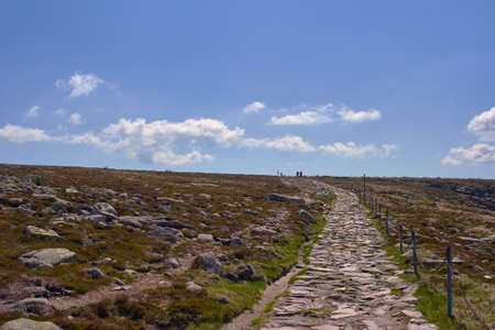 Mountain hiking trail in the summer in the Giant Mountains, Poland