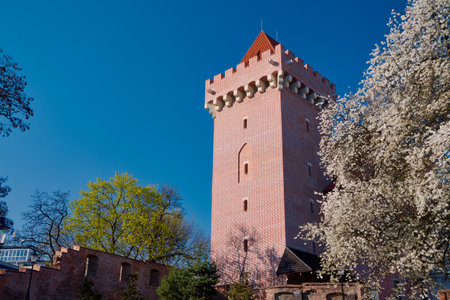 The tower of the royal castle in Poznan springのeditorial素材