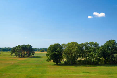 Landscape with trees on a meadow in summer in Poland