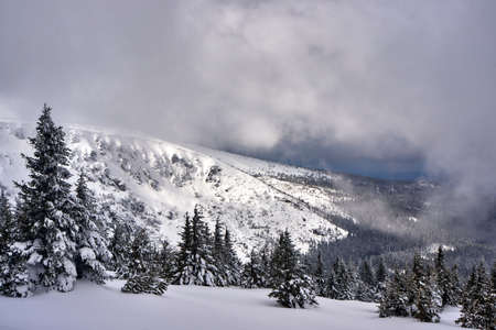 Winter landscape on a cloudy day in the Giant Mountains in Poland