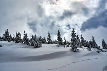 Winter landscape on a cloudy day in the Giant Mountains in Poland