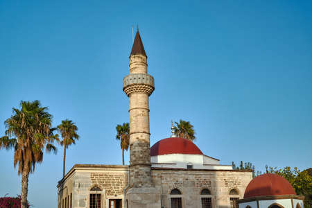 Palma and Turkish minaret in Kos in Greeceの写真素材