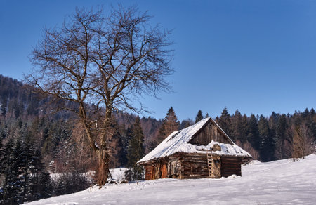 Pastoral hut in snow clearing in the winter in Beskidy Mountains in Polandのeditorial素材