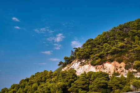 The seaside cliff covered with pine forest on the island of Lefkadaの写真素材
