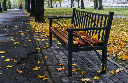 A wooden bench and autumn leaves in a city park in Polandの写真素材
