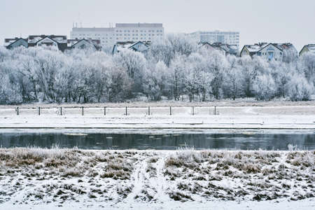 frosted trees on the river Warta in Poznanの写真素材
