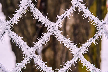 Needles of ice on a metal fence