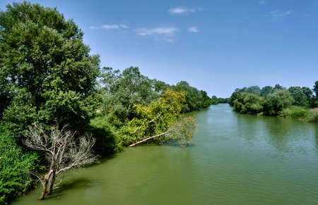 Trees growing along the river Pinios in Greeceの写真素材