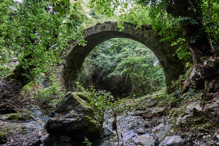 Stone ruins of the Byzantine bridge in a dense forest in Greeceの写真素材
