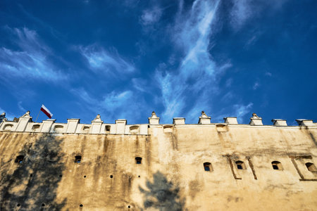 The wall of the medieval fortress in Niedzica in Polandのeditorial素材