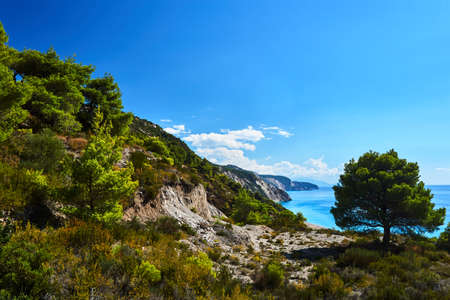 Pine trees on a cliff above the sea on the Greek island of Lefkadaの写真素材