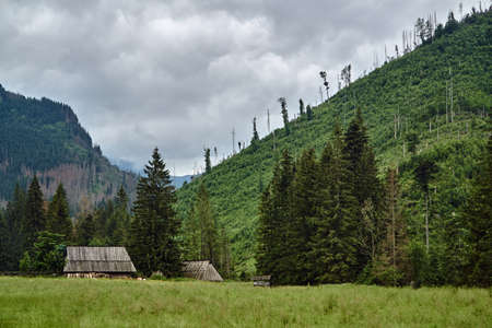 a glade with a shepherd's hut in the Tatras mountains in Polandの写真素材