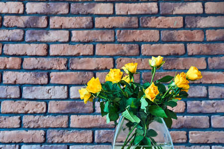 Glass vase with yellow roses  on a background of a red brick wallの写真素材