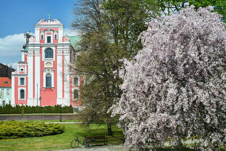 Flourishing trees in the park and the facade of the baroque church in the city of Poznan