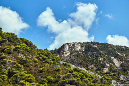 The seaside cliff covered with pine forest on the island of Lefkada