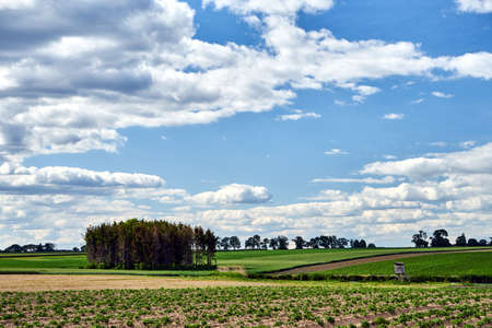 Rural landscape with arable fields on a cloudy day in Poland
の写真素材