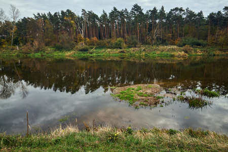 Meadows and deciduous trees on the Warta River during autumn in Poland