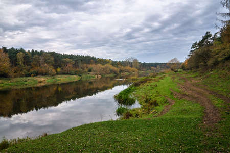 Meadows and deciduous trees on the Warta River during autumn in Poland