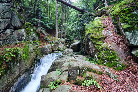 Rocks and boulders in the mountain stream in the forest in the Giant Mountains in Polandの写真素材