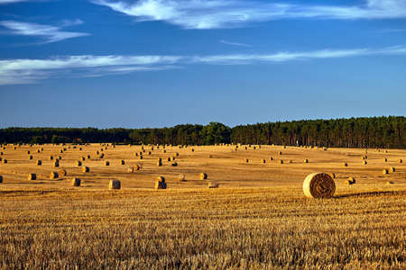 rural landscape with arable fields after the harvest in Poland