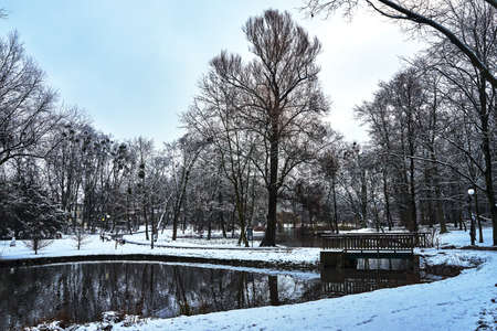 Wooden pedestrian bridge in a park during winter in Polandの写真素材