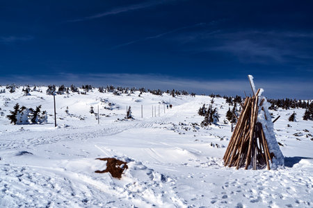 Poles marking a winter tourist trail in the Giant Mountains, Poland