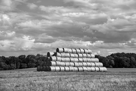 pile of straw in bales in the stubble, near the forest in summer, Poland, monochrome
