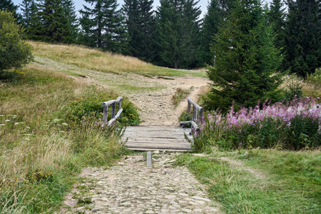 Wooden bridge on a tourist trail on Pilsko Mountain in the Beskids, Poland