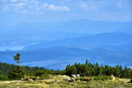 grassy top of Pilsko mountain and view of Beskidy and Tatra mountains, Poland