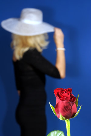 red rose for girl in white hat for Valentine's Dayの写真素材