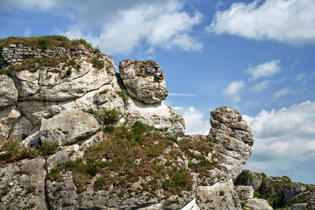 Limestone rocks of an old quarry overgrown with trees and bushes, Polandの写真素材