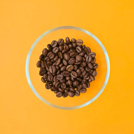 Select the best coffee beans in a clear glass perfect round cup on a bright orange background that emphasizes the beauty of coffee beans and perfectly harmonizes in colors.の写真素材