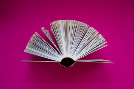 The book levitates in the air like a fairy tale against a wall of fuchsia.