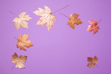 Maple leaves of gold color spread out on a violet background around the place for the inscription.の写真素材