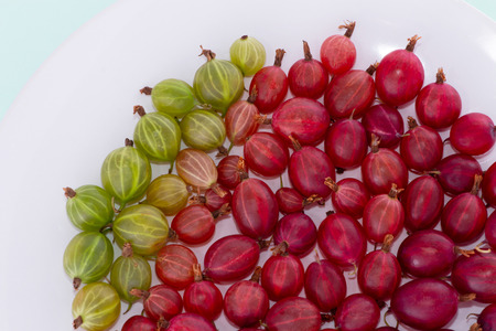 Ripe gooseberries in a white plate on a light green background.の写真素材