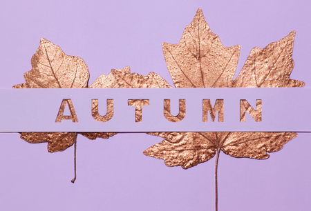 The conceptual inscription Autumn is carved in a violet background, under which you can see the golden leaves.の写真素材