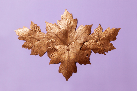 Maple leaves of gold color spread out on a violet background around the place for the inscription.の写真素材