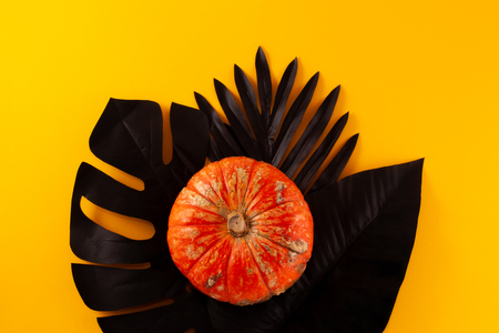 Conceptual halloween layout on a yellow-orange background. Orange decorative pumpkin on a hand-painted black monstera and fern.の写真素材