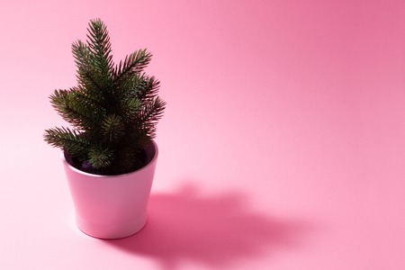 Pale pink composition on a New Year's theme. A small decorative Christmas tree on a pink background.の写真素材