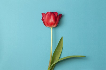 Trend photography on the theme of the actual colors for this season - a shade of orange. A bright...
