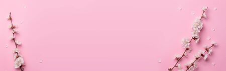 Spring composition of the twigs of flowering trees on a pink paper background.